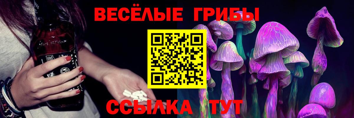 Галлюциногенные грибы GOLDEN TEACHER  Вход с VPN  Коркино  Галлюциногенные грибы Psilocybine cubensis 